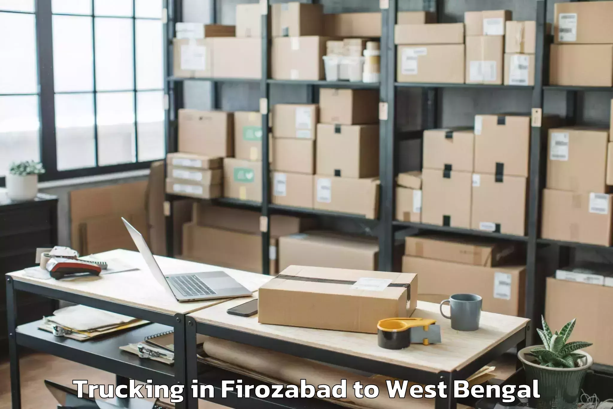 Professional Firozabad to Central Mall New Town Trucking